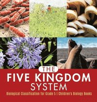 bokomslag Five Kingdom System Biological Classification for Grade 5 Children's Biology Books