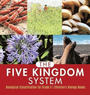 bokomslag Five Kingdom System Biological Classification for Grade 5 Children's Biology Books