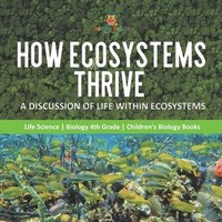 bokomslag How Ecosystems Thrive