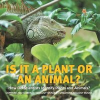 bokomslag Is It a Plant or an Animal? How Do Scientists Identify Plants and Animals? Compare and Contrast Biology Grade 3 Children's Biology Books