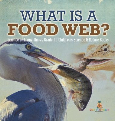 bokomslag What is a Food Web? Science of Living Things Grade 4 Children's Science & Nature Books