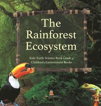 bokomslag Rainforest Ecosystem Kids' Earth Science Book Grade 4 Children's Environment Books