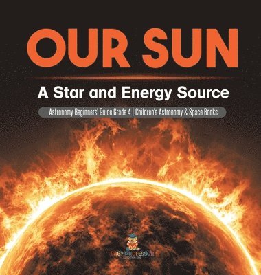 Our Sun 1