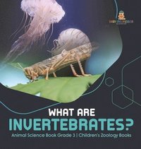 bokomslag What Are Invertebrates? Animal Science Book Grade 3 Children's Zoology Books