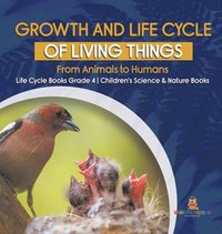 bokomslag Growth and Life Cycle of Living Things