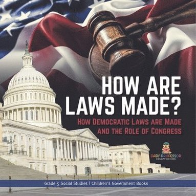 bokomslag How are Laws Made?