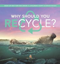 bokomslag Why Should You Recycle? Book of Why for Kids Grade 3 Children's Earth Sciences Books