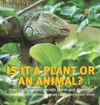 bokomslag Is It a Plant or an Animal? How Do Scientists Identify Plants and Animals? Compare and Contrast Biology Grade 3 Children's Biology Books
