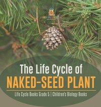 bokomslag Life Cycle of Naked-Seed Plant Life Cycle Books Grade 5 Children's Biology Books