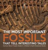 bokomslag Most Important Fossils That Tell Interesting Tales Curious About Fossils Grade 5 Children's Earth Sciences Books