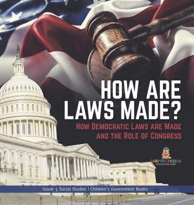 bokomslag How are Laws Made?