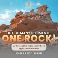 bokomslag Out of Many Sediments, One Rock! Understanding Sedimentary Rock Types and Formation Grade 6-8 Earth Science