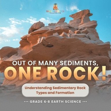 bokomslag Out of Many Sediments, One Rock! Understanding Sedimentary Rock Types and Formation Grade 6-8 Earth Science