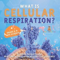 bokomslag What is Cellular Respiration? Process, Products and Reactants of Cellular Respiration Explained Grade 6-8 Life Science