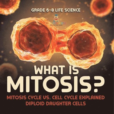 Baby Professor, Baby - What is Mitosis? Mitosis Cycle vs. Cell Cycle Explained Diploid Daughter Cells Grade 6-8 Life Science, Häftad