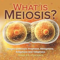 bokomslag What is Meiosis? Stages of Meiosis, Prophase, Metaphase, Anaphase and Telophase Grade 6-8 Life Science