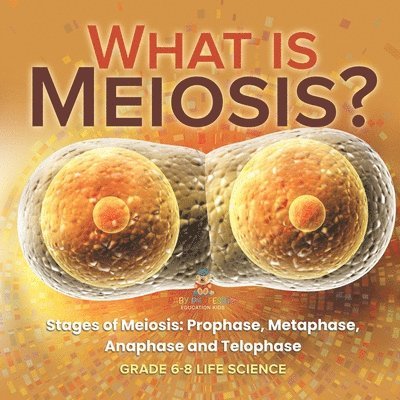 What is Meiosis? Stages of Meiosis, Prophase, Metaphase, Anaphase and Telophase Grade 6-8 Life Science 1