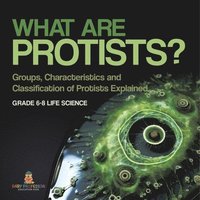 bokomslag What are Protists? Groups, Characteristics and Classification of Protists Explained Grade 6-8 Life Science