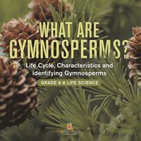 bokomslag What are Gymnosperms? Life Cycle, Characteristics and Identifying Gymnosperms Grade 6-8 Life Science
