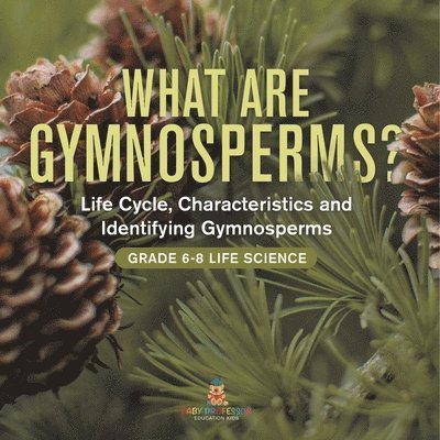 What are Gymnosperms? Life Cycle, Characteristics and Identifying Gymnosperms Grade 6-8 Life Science 1