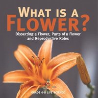 bokomslag What is a Flower? Dissecting a Flower, Parts of a Flower and Reproductive Roles Grade 6-8 Life Science