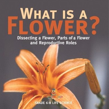 bokomslag What is a Flower? Dissecting a Flower, Parts of a Flower and Reproductive Roles Grade 6-8 Life Science