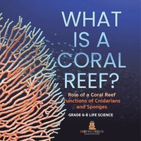 bokomslag What is a Coral Reef? Role of a Coral Reef Functions of Cnidarians and Sponges Grade 6-8 Life Science