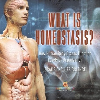 bokomslag What is Homeostasis? How Human Body Organs Function Levels of Organization Grade 6-8 Life Science