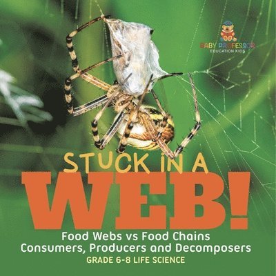 Stuck in a Web! Food Webs vs Food Chains Consumers, Producers and Decomposers Grade 6-8 Life Science 1