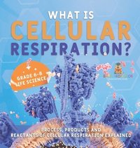 bokomslag What is Cellular Respiration? Process, Products and Reactants of Cellular Respiration Explained Grade 6-8 Life Science