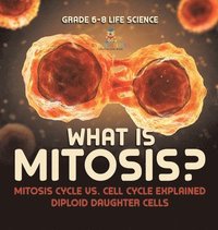 bokomslag What is Mitosis? Mitosis Cycle vs. Cell Cycle Explained Diploid Daughter Cells Grade 6-8 Life Science