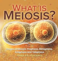 bokomslag What is Meiosis? Stages of Meiosis, Prophase, Metaphase, Anaphase and Telophase Grade 6-8 Life Science