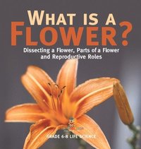 bokomslag What is a Flower? Dissecting a Flower, Parts of a Flower and Reproductive Roles Grade 6-8 Life Science