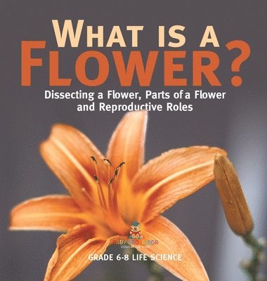bokomslag What is a Flower? Dissecting a Flower, Parts of a Flower and Reproductive Roles Grade 6-8 Life Science