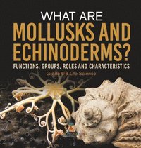 bokomslag What are Mollusks and Echinoderms? Functions, Groups, Roles and Characteristics Grade 6-8 Life Science