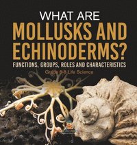 bokomslag What are Mollusks and Echinoderms? Functions, Groups, Roles and Characteristics Grade 6-8 Life Science