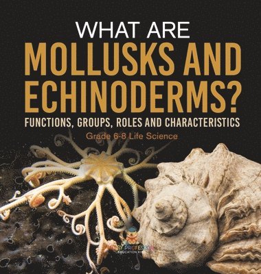 What are Mollusks and Echinoderms? Functions, Groups, Roles and Characteristics Grade 6-8 Life Science 1