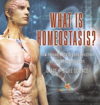bokomslag What is Homeostasis? How Human Body Organs Function Levels of Organization Grade 6-8 Life Science