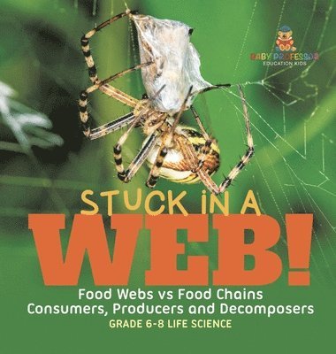 Stuck in a Web! Food Webs vs Food Chains Consumers, Producers and Decomposers Grade 6-8 Life Science 1