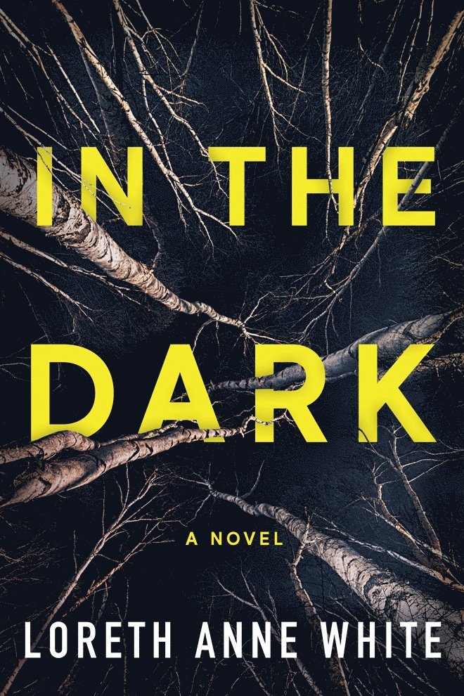In the Dark