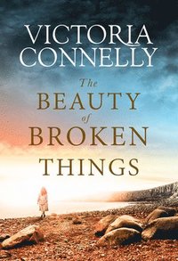 bokomslag Beauty of Broken Things