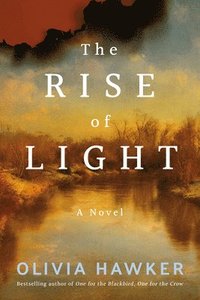 bokomslag The Rise of Light