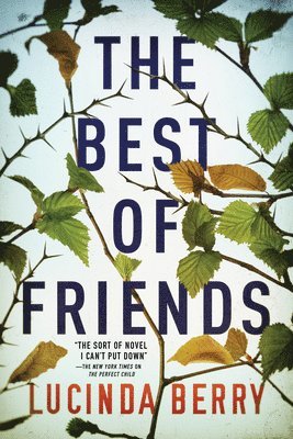 Lucinda Berry - Best of Friends, Häftad