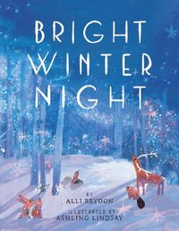 bokomslag Bright Winter Night