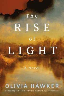 bokomslag The Rise of Light