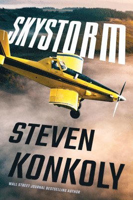 bokomslag Skystorm