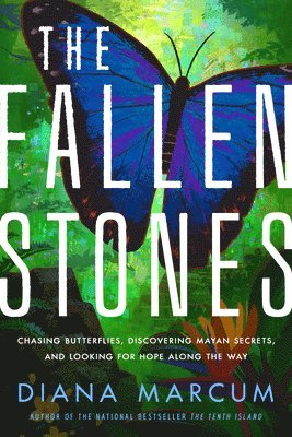 The Fallen Stones 1