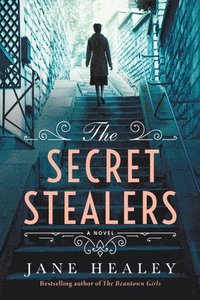 bokomslag Secret Stealers
