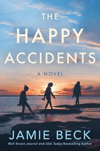 bokomslag Happy Accidents
