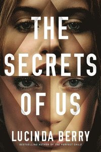 bokomslag The Secrets of Us
